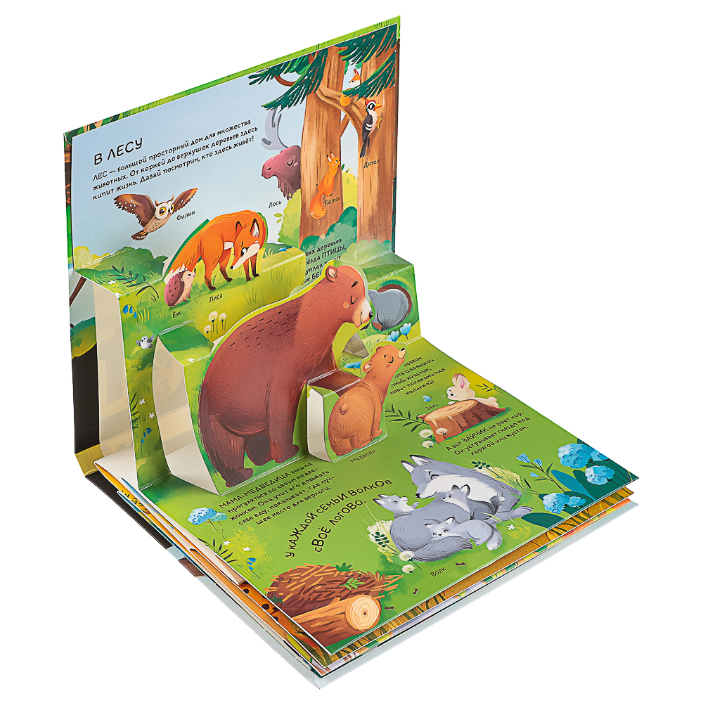 857-172 МАЛАМАЛАМА Книжка энциклопедия "Почемучка", картон, 20,8х17,4см, 10 стр., 5 дизайнов